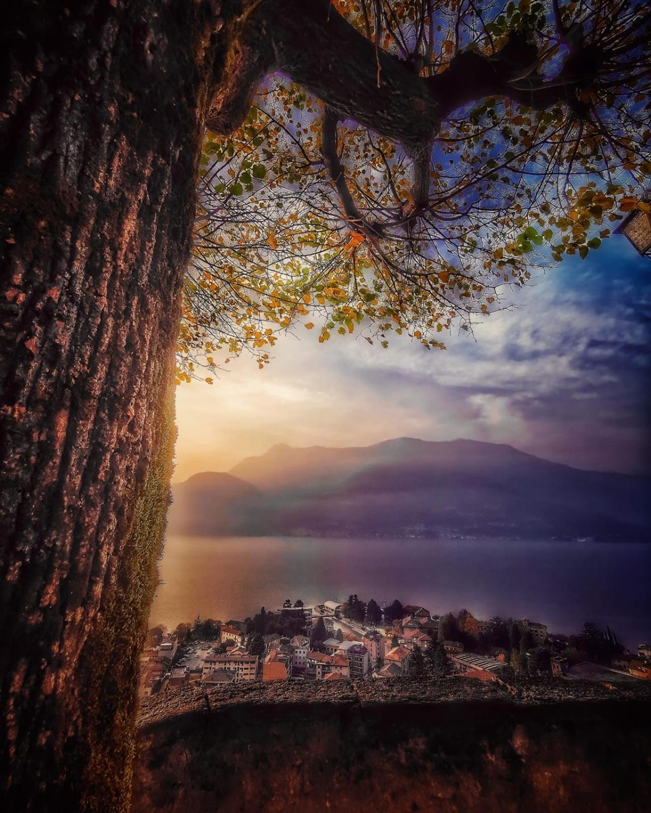 Casa Luisa Daire Bellano Dış mekan fotoğraf