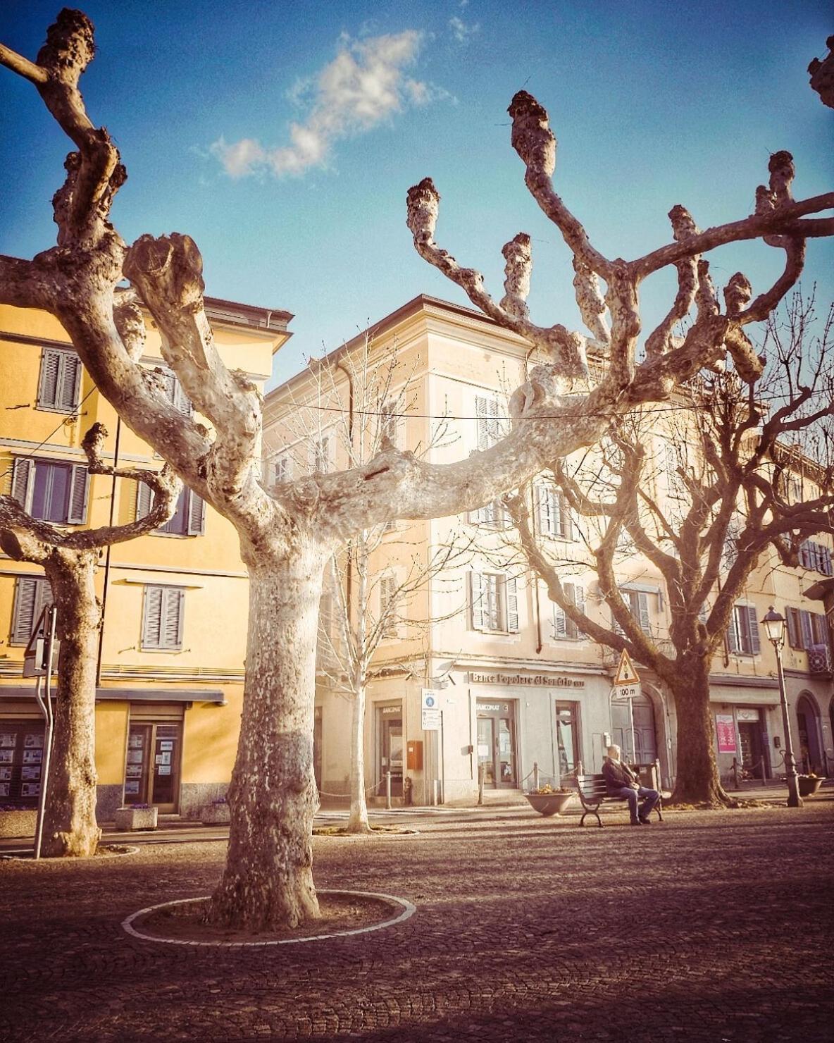Casa Luisa Daire Bellano Dış mekan fotoğraf
